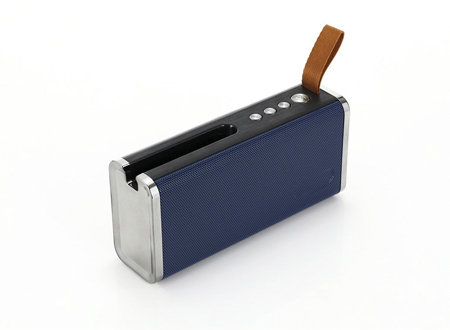 speaker with led torch