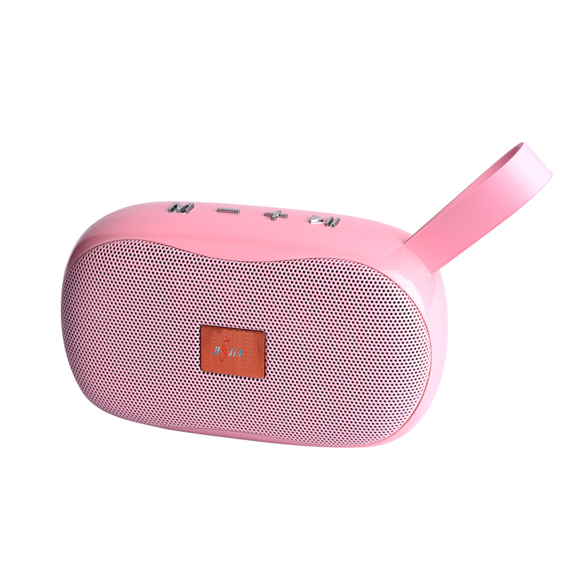 HS-2027 Cheaper model speaker FM radio wireless speaker