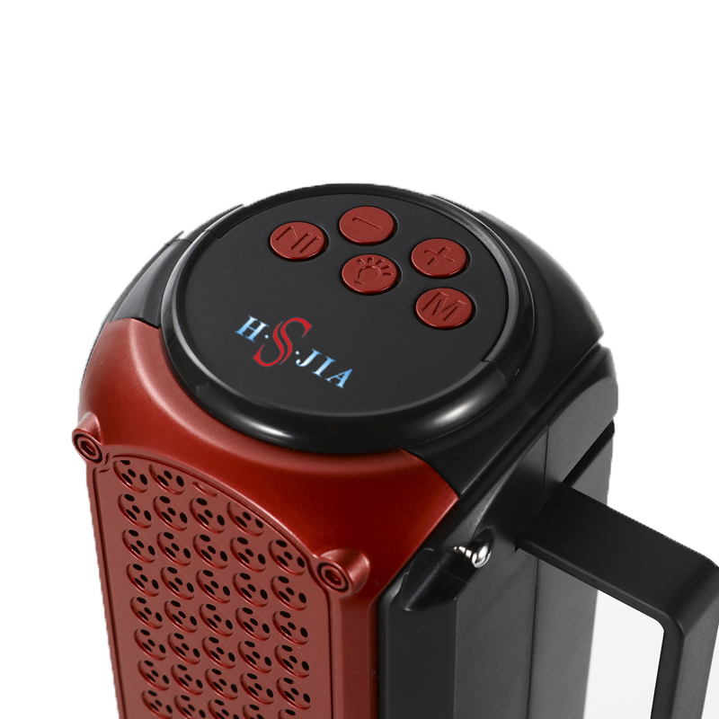 Portable speaker system