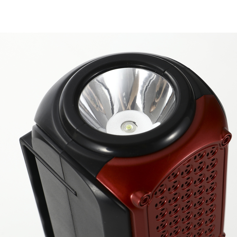 Speaker with lights