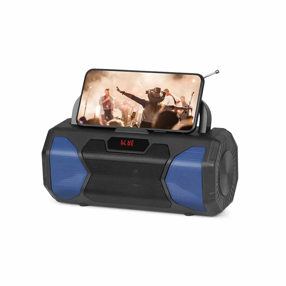 Portable speaker system