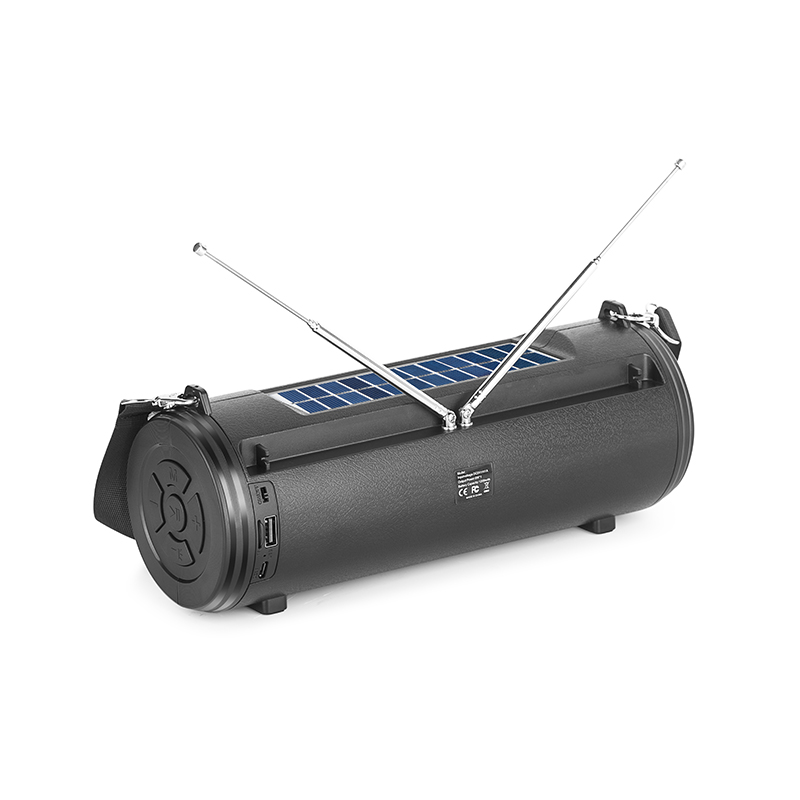 Bluetooth speaker phone