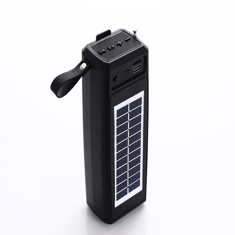 Bluetooth speaker phone