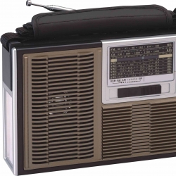 HS-2931 Hot sell FM/AM/SW1-6 8 band radio Bluetooth speaker with USB/TF slot