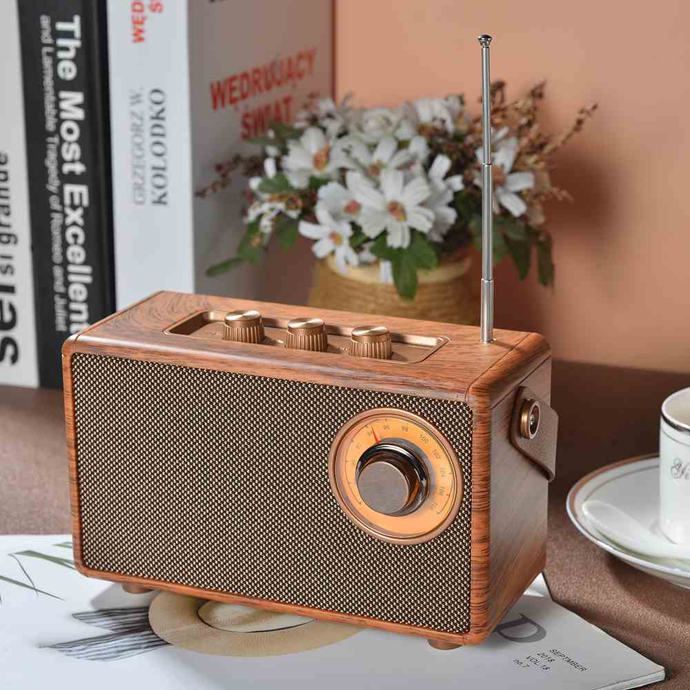 Portable wireless Bluetooth speakers are compact audio devices