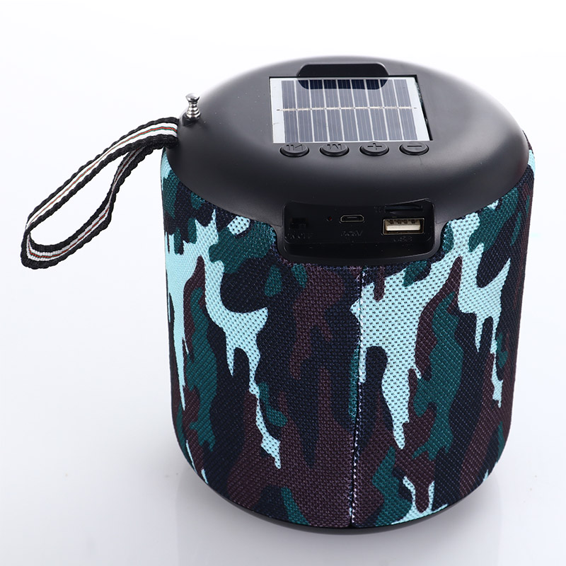 Speaker with power bank