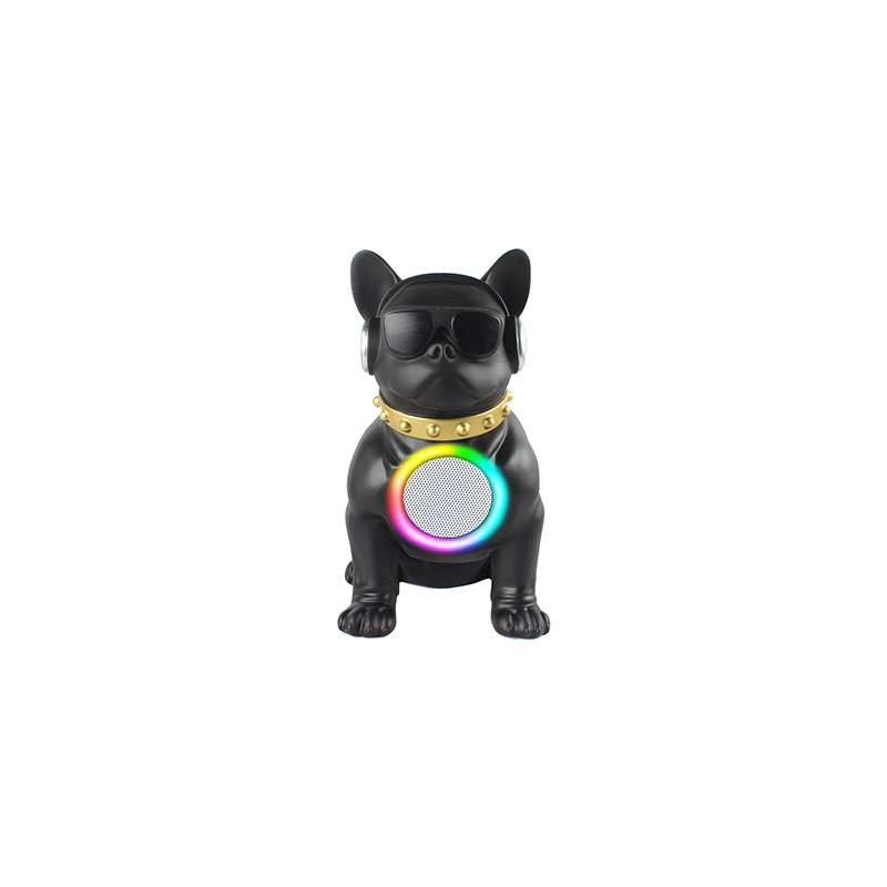 HS-A166 Portable Mini Wireless Speaker Wireless Microphone Glasses Dog Speaker