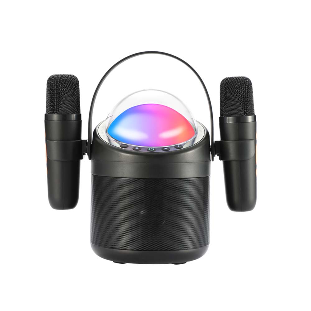 Factory Sale Karaoke Speaker RGB Lights Singing Speaker with 2 Wireless mic