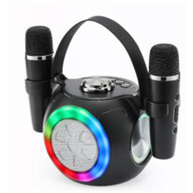 Top Quality Party Karaoke Bluetooth Speaker Dj Speaker with Dual Wireless Mic
